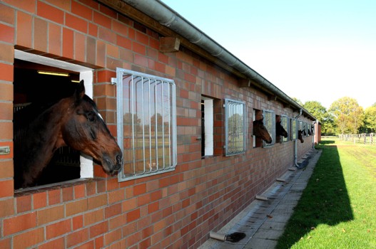 Pferdehaltung