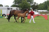 2011-06-30 09-37-09 1