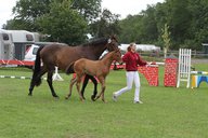 2011-06-30 09-37-09 2