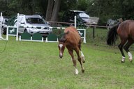 2011-06-30 09-42-00 1