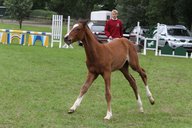 2011-06-30 09-42-01 1