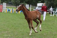 2011-06-30 09-42-01 2