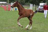 2011-06-30 09-42-01 3