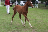 2011-06-30 09-42-06 1