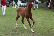 2011-06-30 09-42-06 2