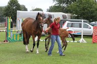 2011-06-30 09-42-52 1