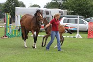 2011-06-30 09-42-52 2