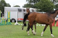 2011-06-30 09-42-55 1