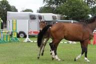 2011-06-30 09-42-55 2