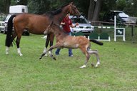 2011-06-30 09-43-04 1