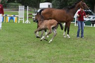 2011-06-30 09-43-04 2