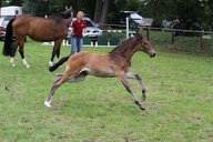 2011-06-30 09-43-15 1