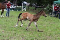 2011-06-30 09-43-15 2