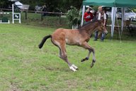 2011-06-30 09-43-15 3