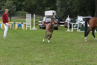 2011-06-30 09-44-36 1