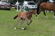 2011-06-30 09-44-36 3