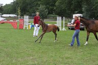 2011-06-30 09-44-43 1