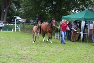 2011-06-30 09-45-48 1