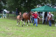 2011-06-30 09-45-48 2