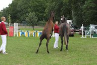 2011-06-30 09-49-22 1