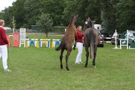 2011-06-30 09-49-22 2