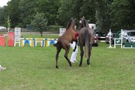 2011-06-30 09-49-22 3