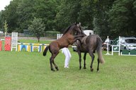 2011-06-30 09-49-24 2