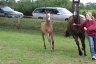 2011-06-30 09-52-32 2