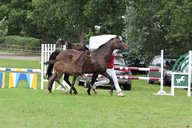 2011-06-30 09-54-43 1