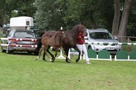 2011-06-30 09-54-43 2