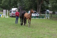 2011-06-30 09-56-36 2