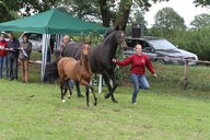 2011-06-30 09-58-29 1