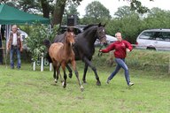 2011-06-30 09-58-29 2