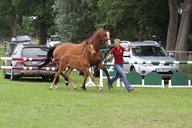 2011-06-30 10-08-13 2