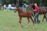 2011-06-30 10-09-46 1