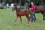 2011-06-30 10-09-46 2