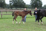 2011-06-30 10-17-11 1