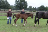 2011-06-30 10-17-11 2