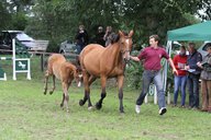 2011-06-30 10-18-34 1