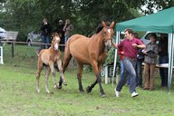 2011-06-30 10-18-34 2