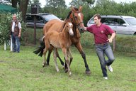 2011-06-30 10-18-37 1