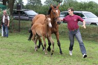 2011-06-30 10-18-37 2