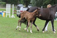 2011-06-30 10-20-21 1