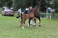 2011-06-30 10-20-21 2