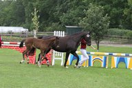 2011-06-30 10-21-24 1