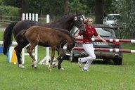 2011-06-30 10-21-58 1