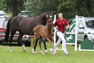 2011-06-30 10-21-59 1