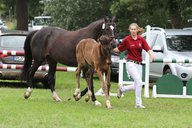 2011-06-30 10-21-59 2