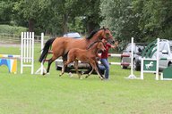 2011-06-30 10-31-02 1