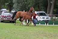 2011-06-30 10-31-02 2